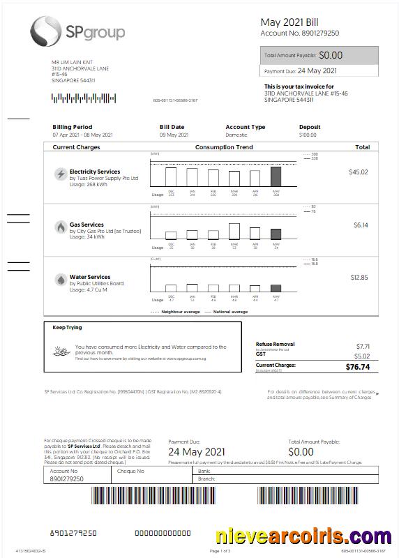 SINGAPORE SP GROUP utility bill